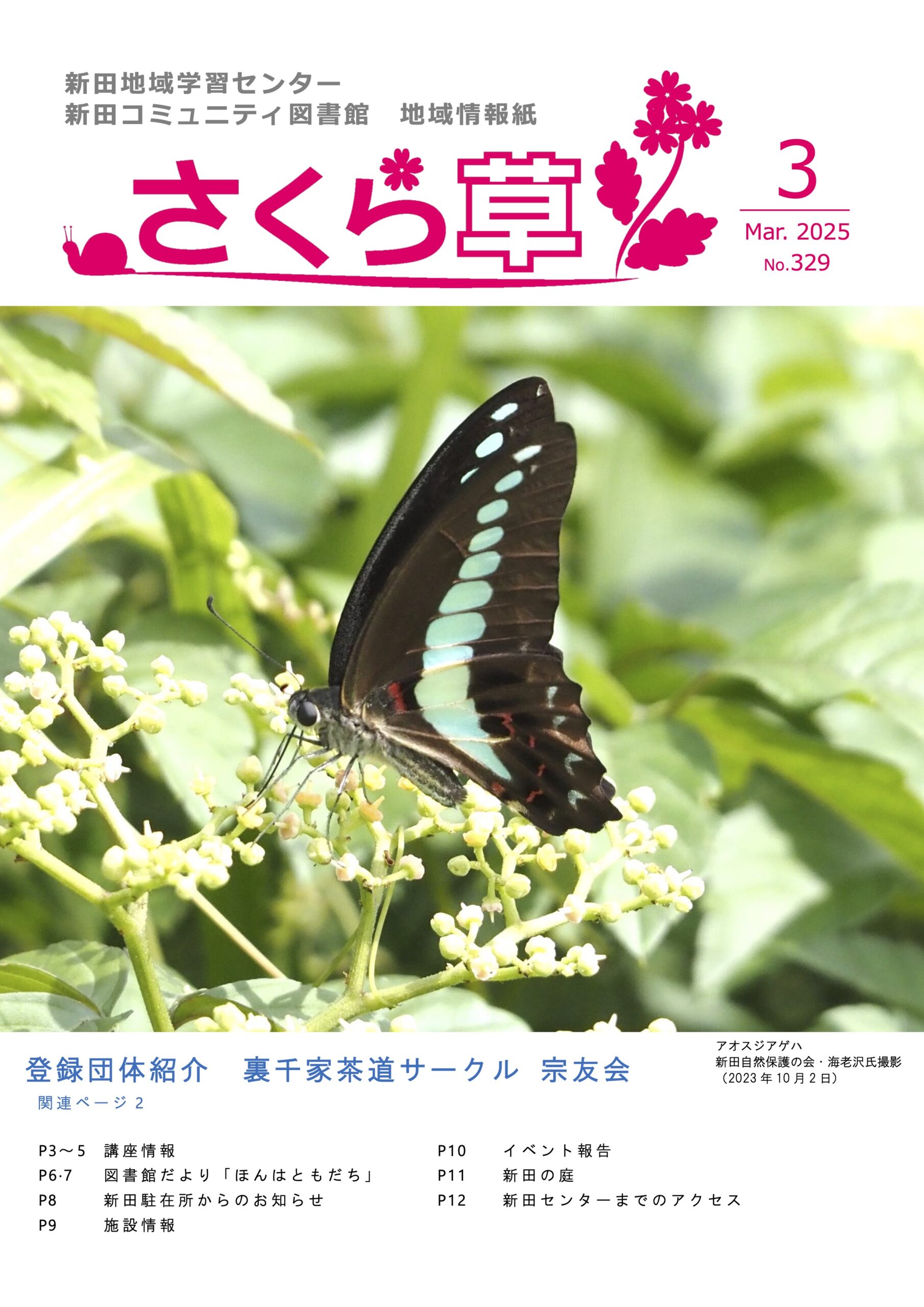 2025年3月号